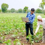 COVID-19-crisis-offers-opportunities-to-upgrade-Indian-agriculture