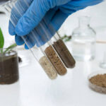 Laboratory assistant working with plants, different kinds of soil and sand, testing and analyzing results